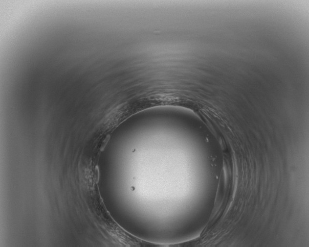 X0000060580609200511101658