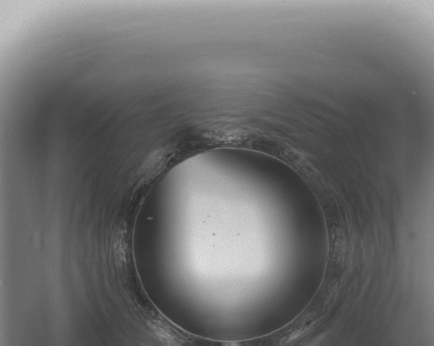 X0000060580612200511101658