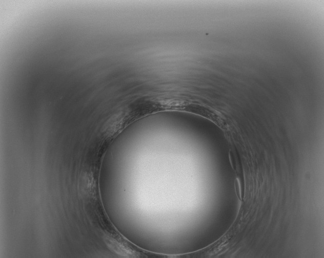 X0000060580614200511101658