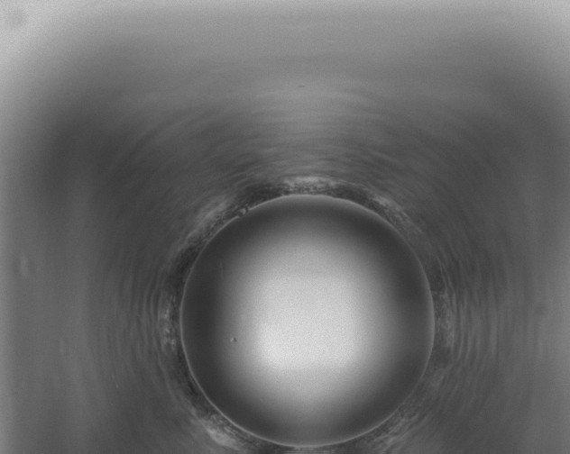 X0000060580619200511101658