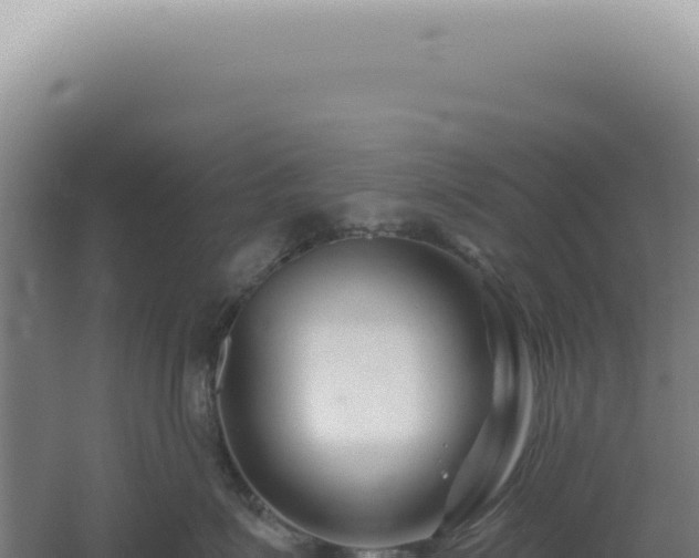 X0000060580623200511101657