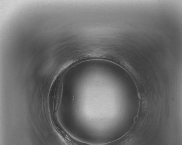 X0000060580626200511101657