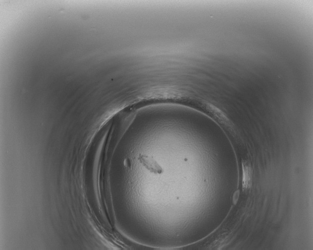 X0000060580627200511101657