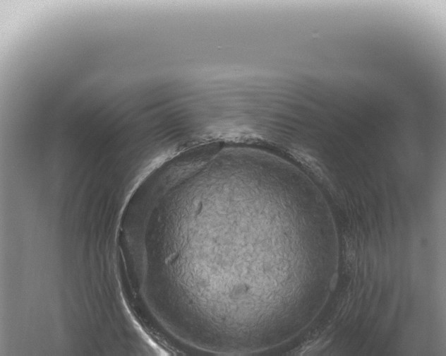 X0000060580630200511101657