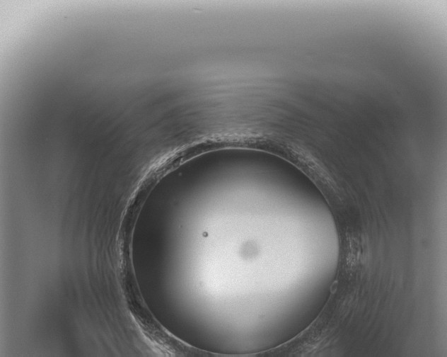 X0000060580636200511101657