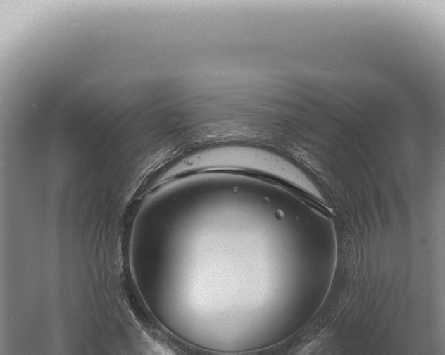 X0000060580638200511101657