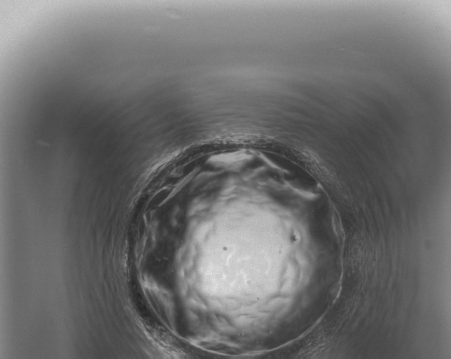 X0000060580640200511101657