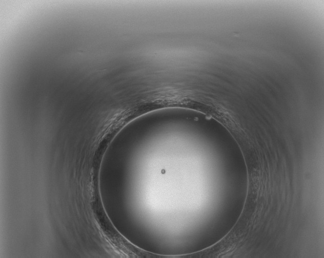 X0000060580642200511101657