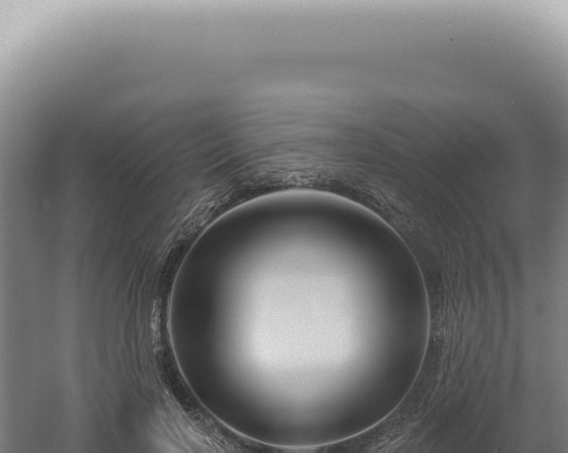 X0000060580646200511101657