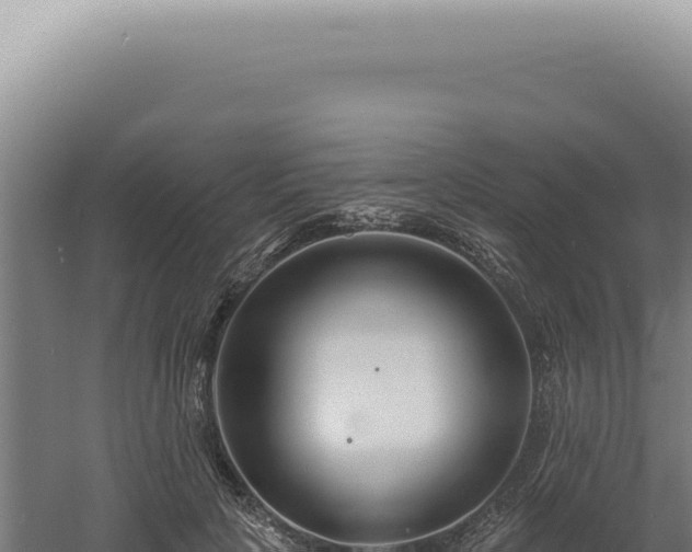 X0000060580649200511101657