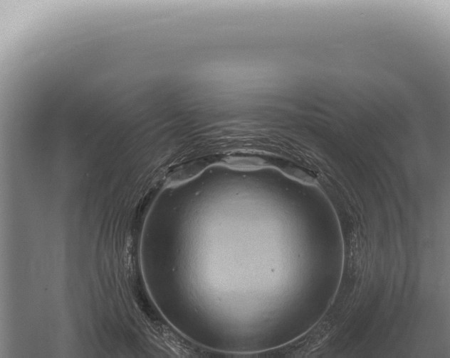 X0000060580650200511101657