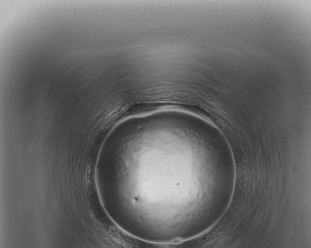 X0000060580652200511101657