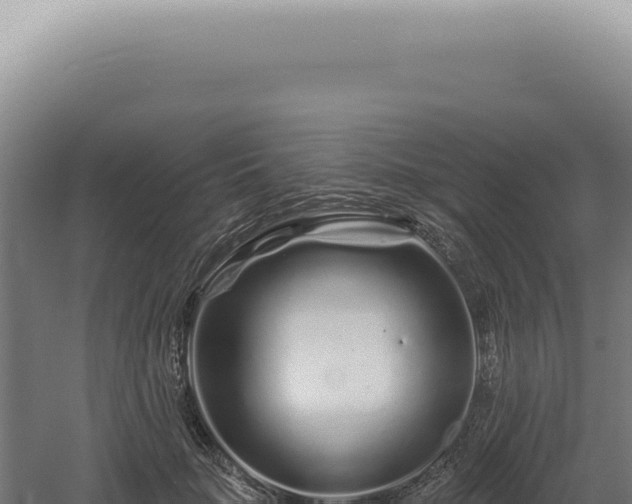 X0000060580653200511101657