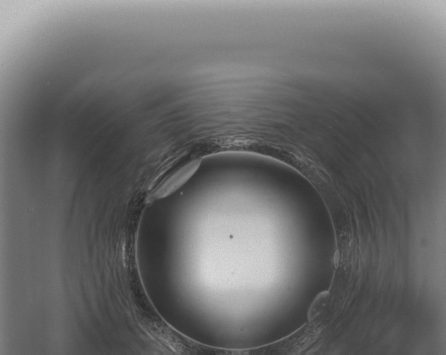 X0000060580655200511101657