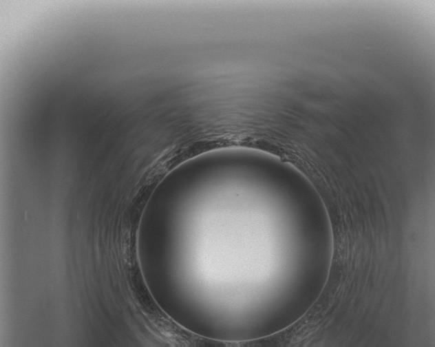 X0000060580656200511101657