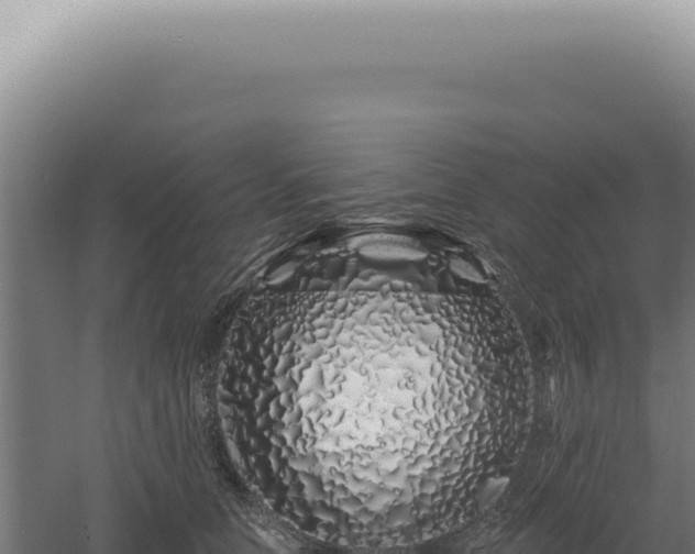 X0000060580658200511101657