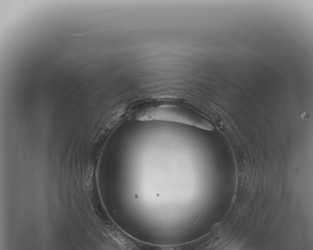 X0000060580660200511101657