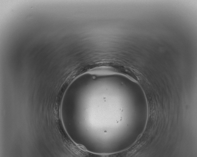 X0000060580661200511101657