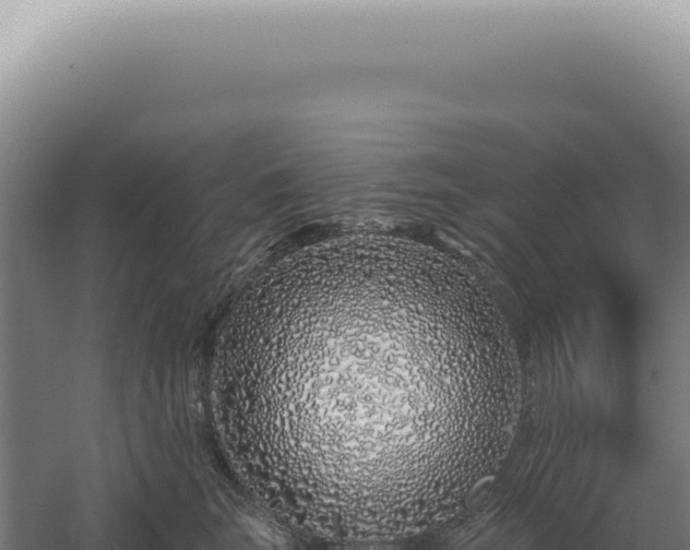 X0000060580663200511101657