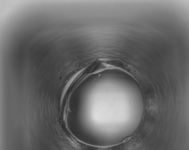 X0000060580664200511101657