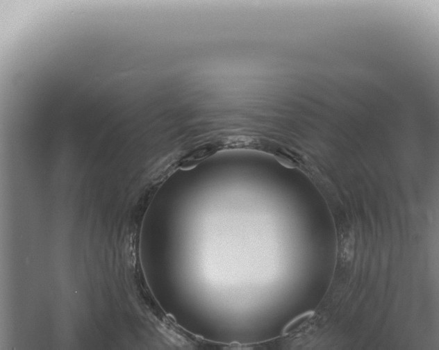 X0000060580666200511101657