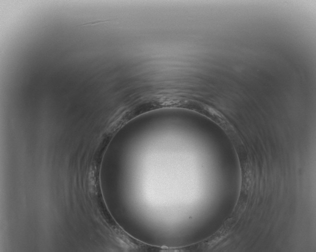 X0000060580667200511101657