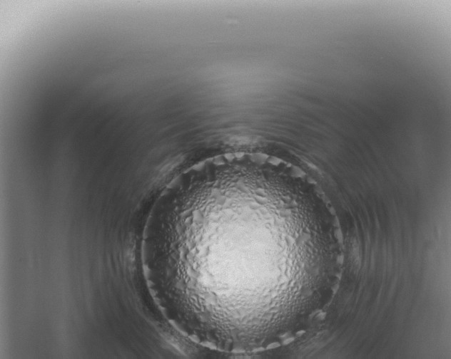 X0000060580668200511101657