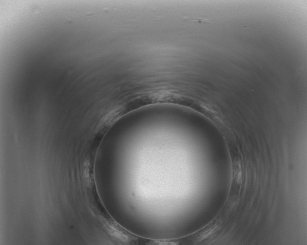 X0000060580670200511101657