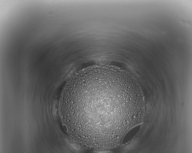 X0000060580671200511101657