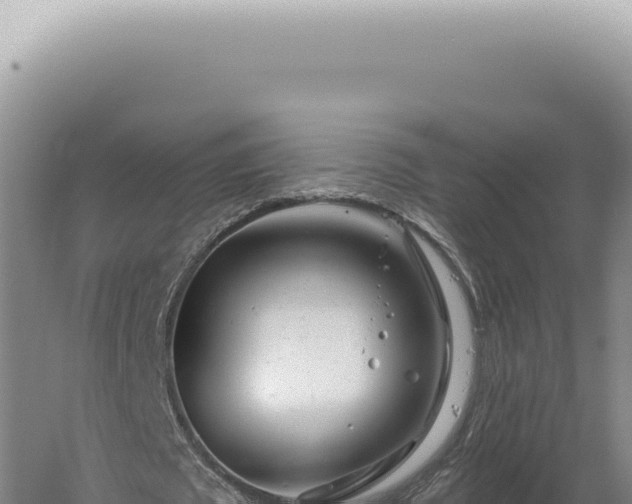 X0000060580673200511101657