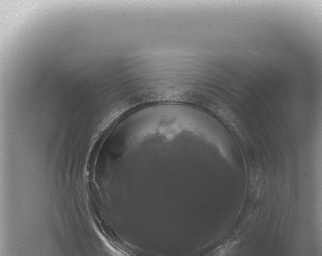 X0000060580674200511101657