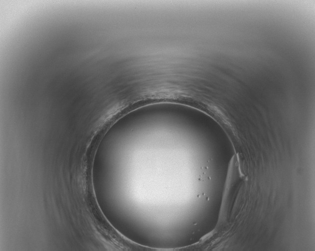 X0000060580675200511101657