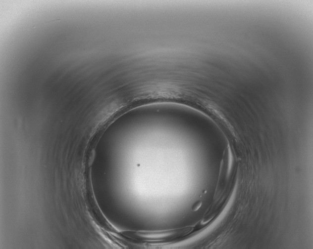 X0000060580677200511101657