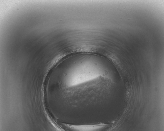 X0000060580678200511101657