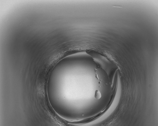 X0000060580681200511101656