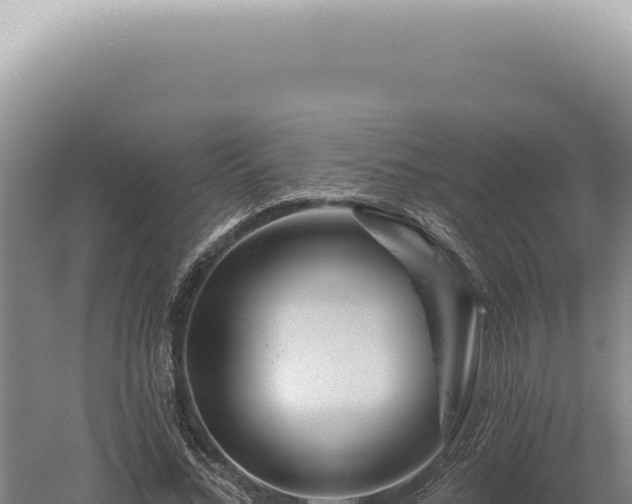 X0000060580684200511101656