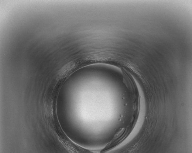 X0000060580685200511101656