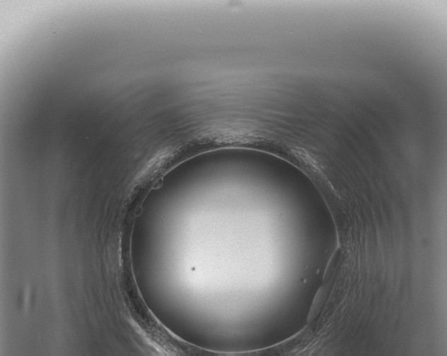 X0000060580686200511101656