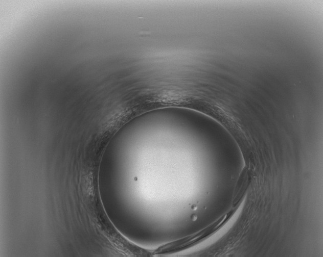 X0000060580689200511101656