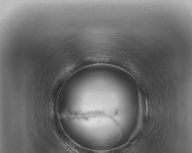 X0000060580692200511101656