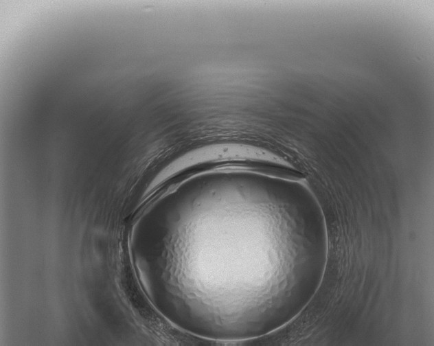 X0000060580695200511101656