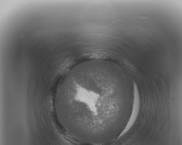 X0000060580696200511101656