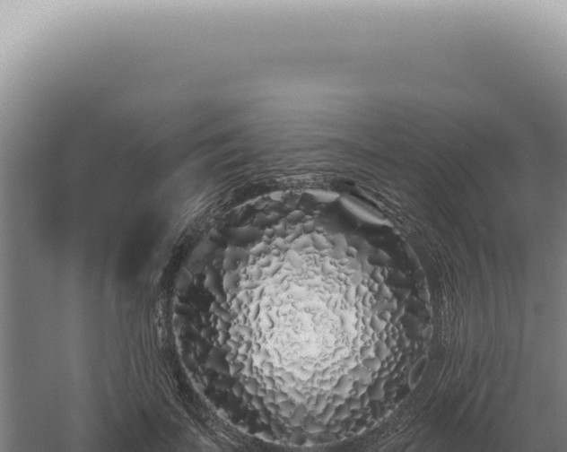 X0000060580699200511101656