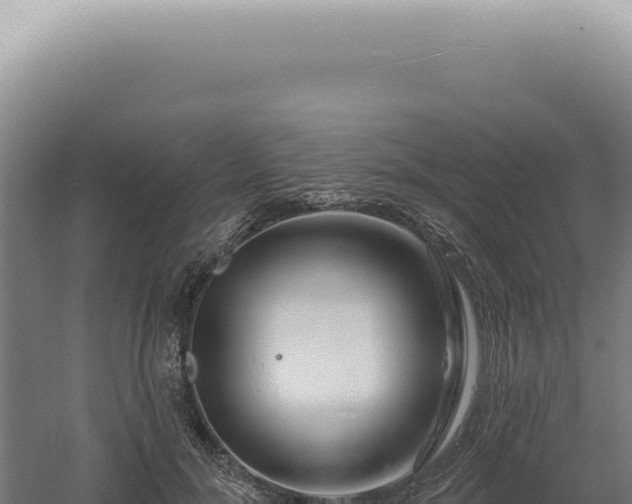 X0000060580700200511101656