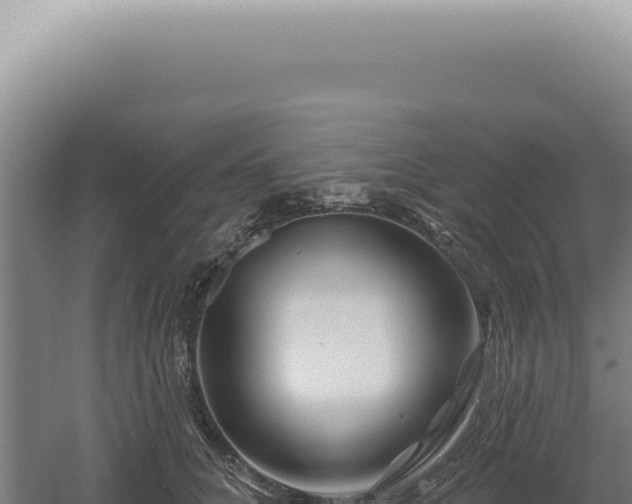 X0000060580704200511101656