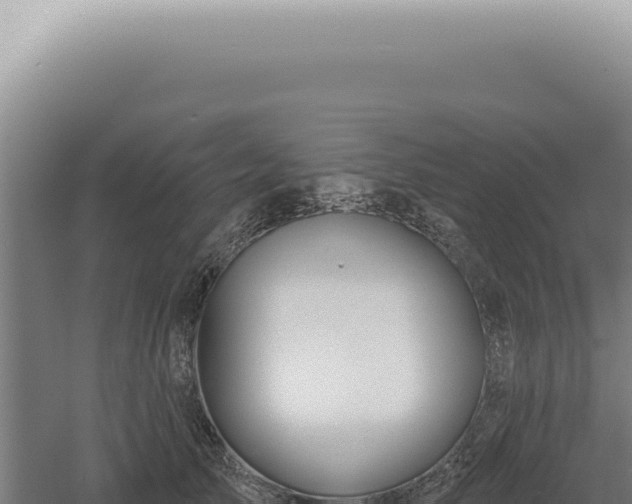 X0000060580705200511101656