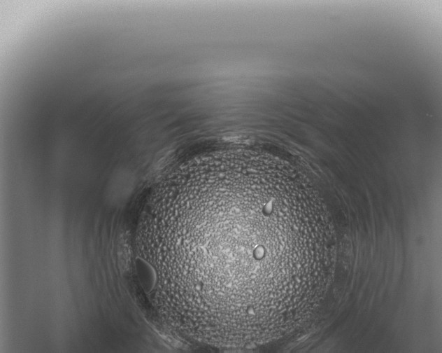 X0000060580707200511101656