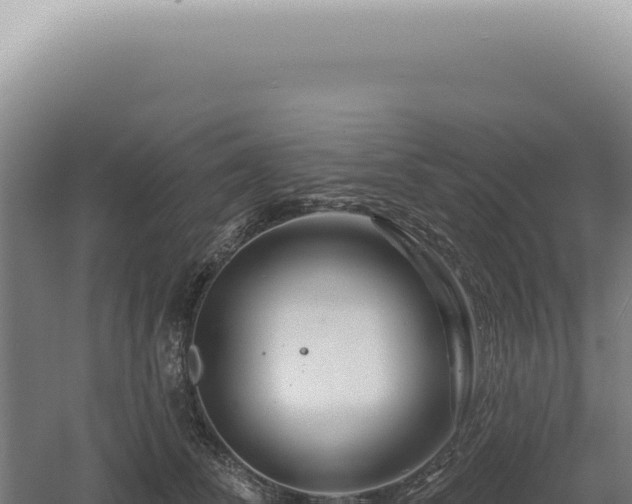 X0000060580708200511101656