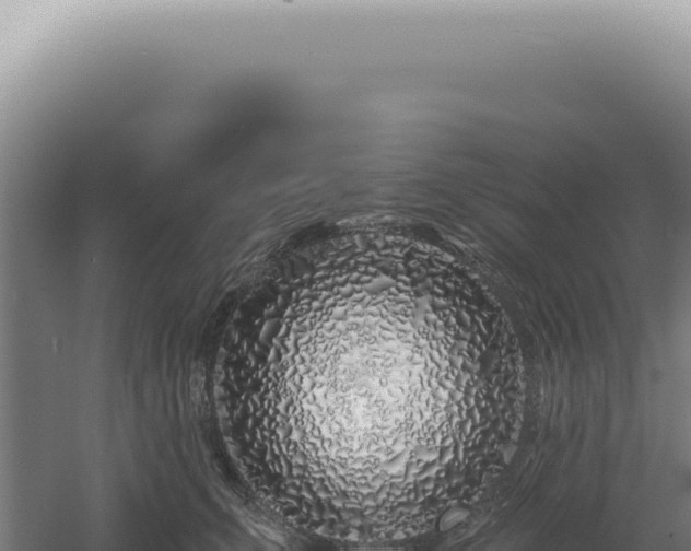 X0000060580711200511101656