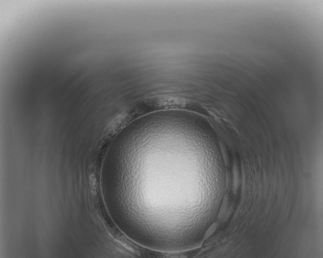 X0000060580716200511101656